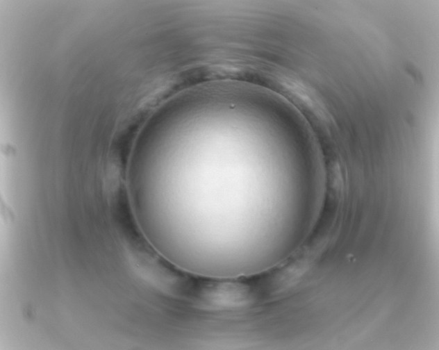 X0000091180463200708091225