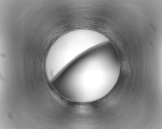X0000091180466200708091225