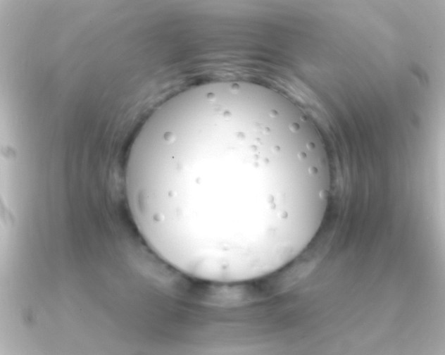 X0000091180469200708091225
