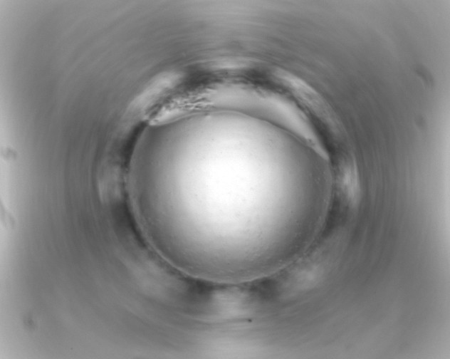 X0000091180470200708091225