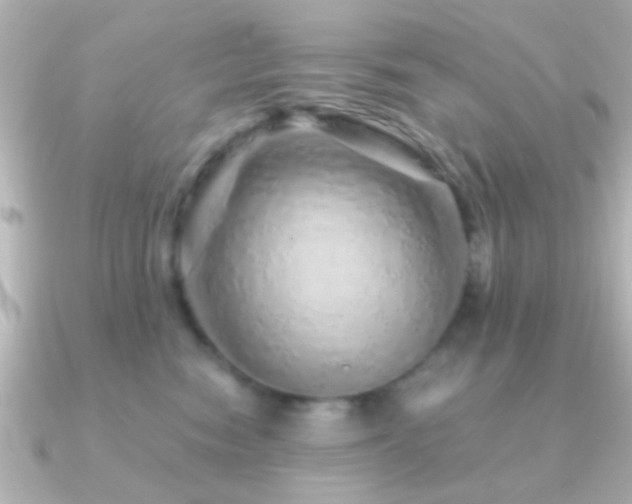 X0000091180474200708091225