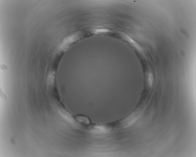 X0000091180475200708091225