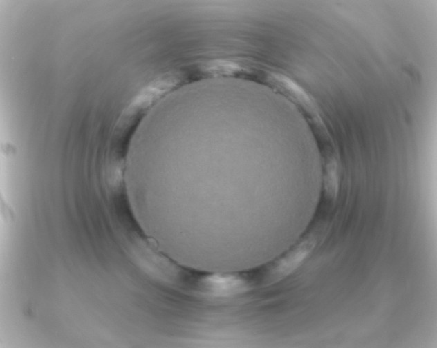 X0000091180477200708091225