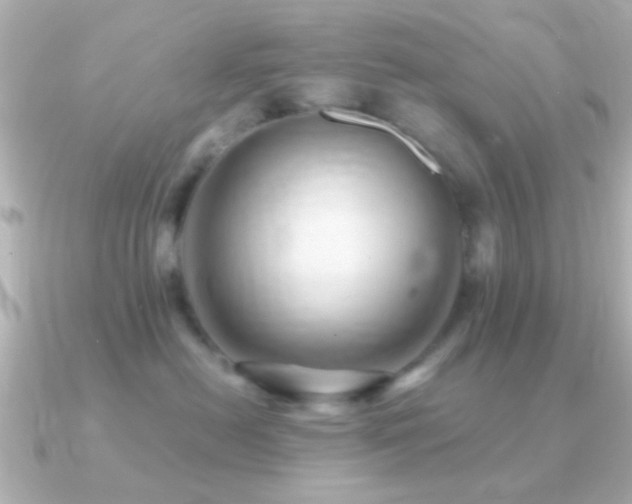 X0000091180478200708091225