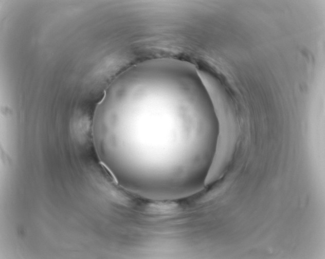 X0000091180480200708091225