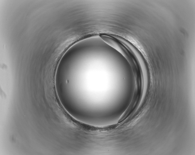 X0000091180481200708091225