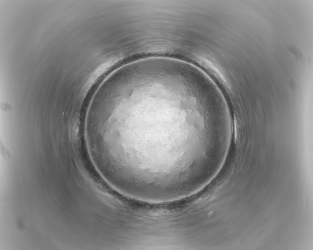 X0000091180483200708091225