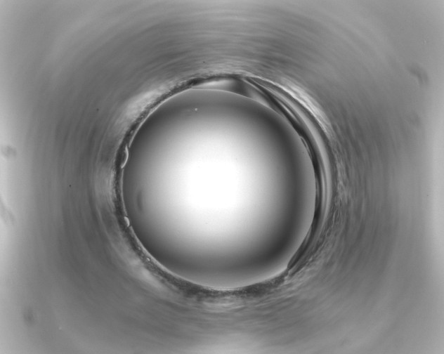 X0000091180485200708091225