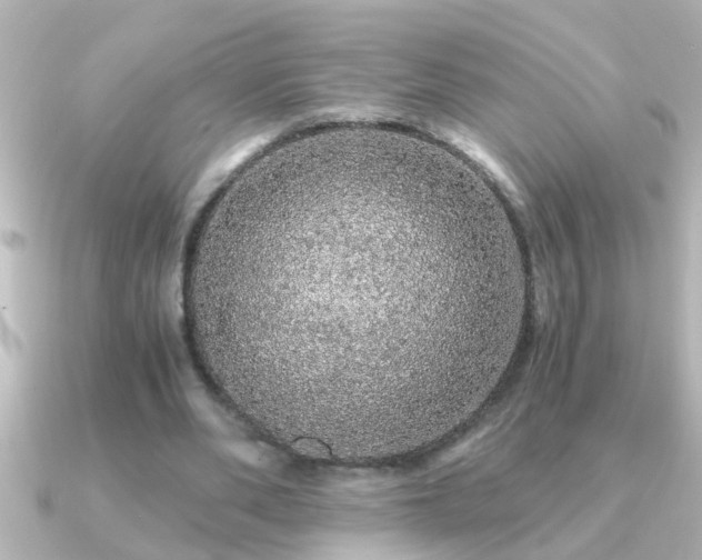 X0000091180486200708091225