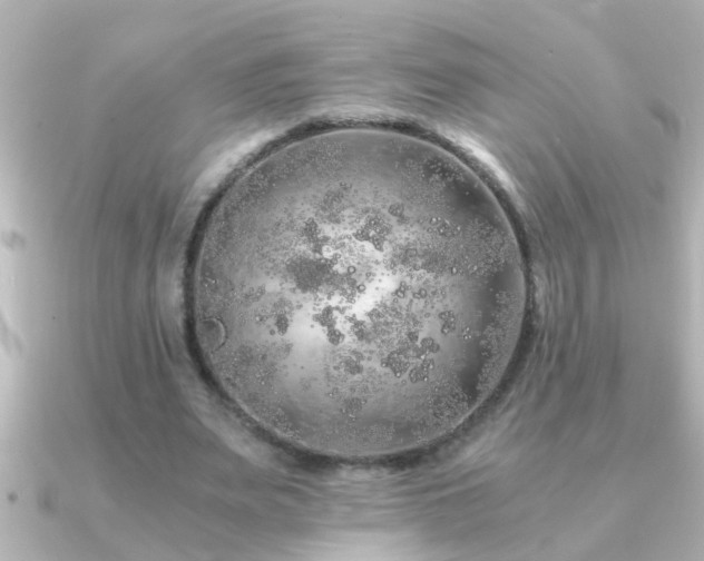 X0000091180487200708091225
