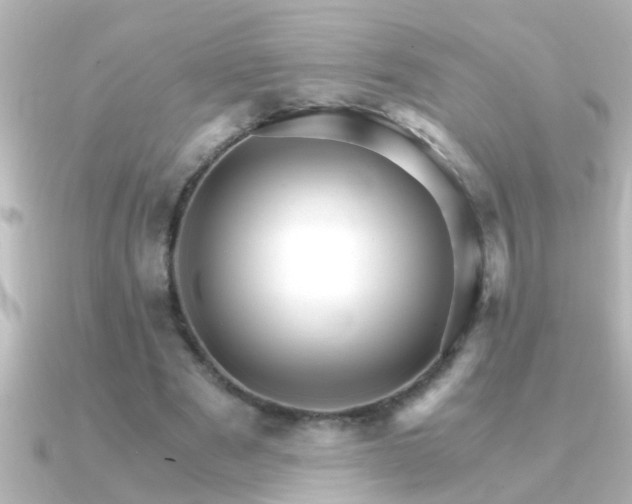 X0000091180489200708091225