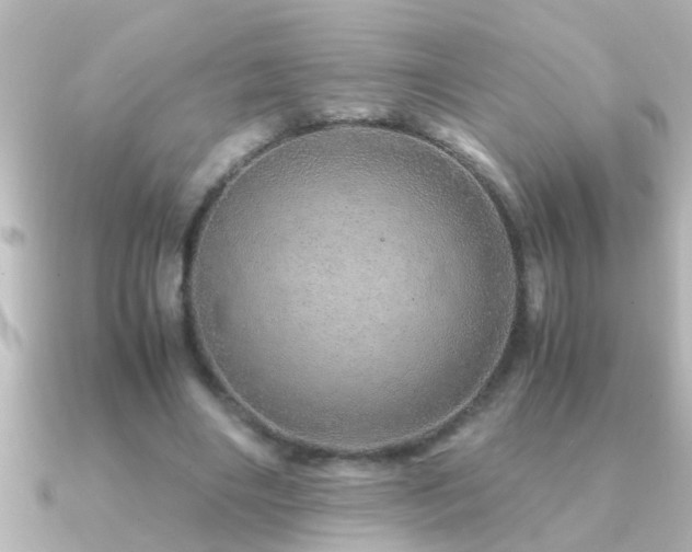 X0000091180490200708091224