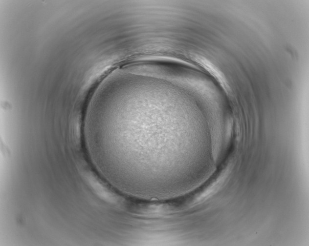 X0000091180493200708091224