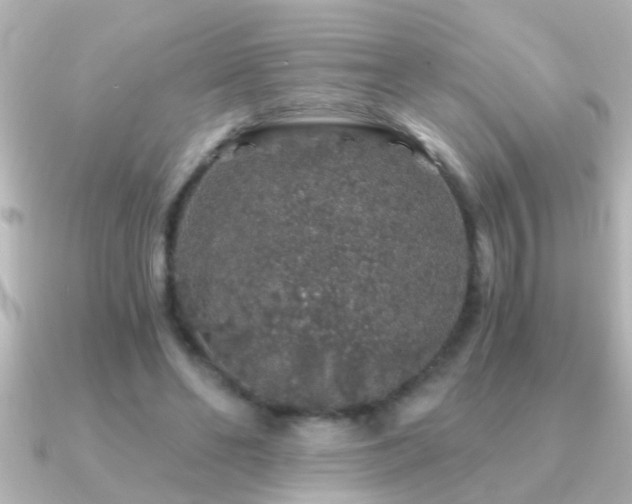 X0000091180494200708091224