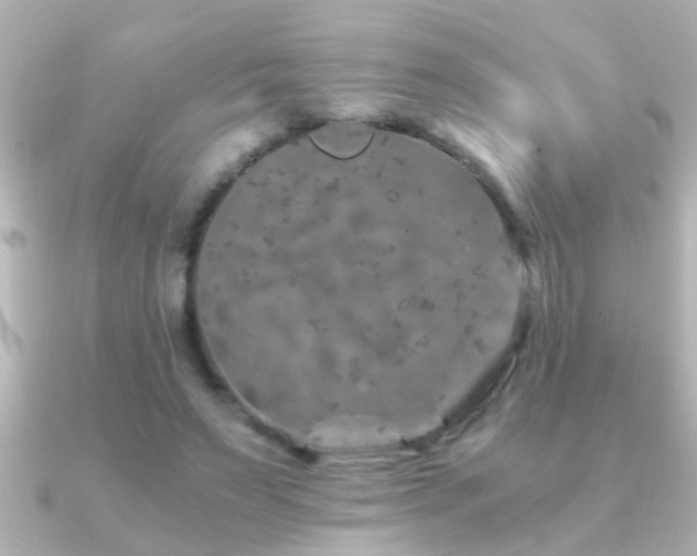 X0000091180495200708091224