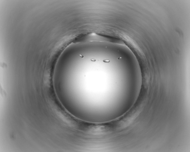 X0000091180497200708091224