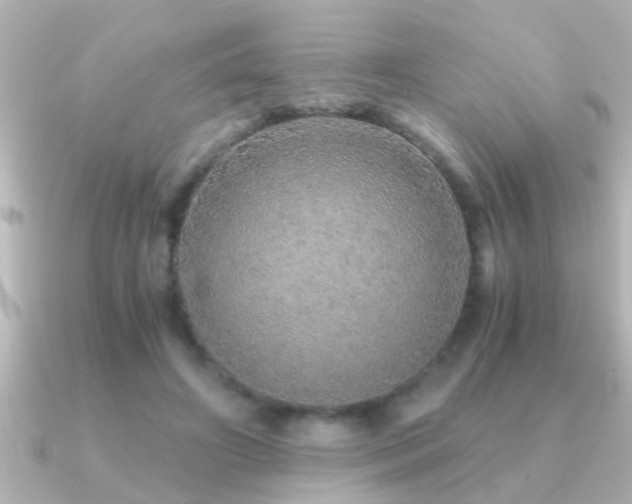 X0000091180498200708091224