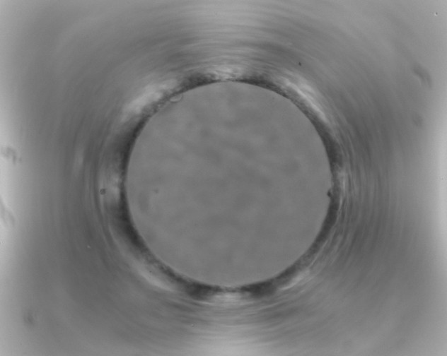 X0000091180499200708091224