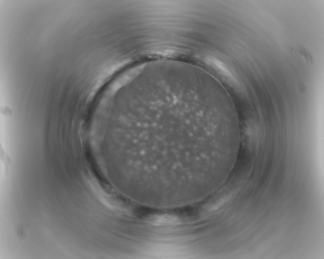 X0000091180500200708091224