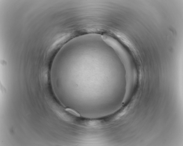 X0000091180501200708091224