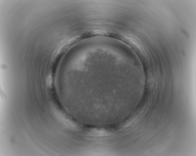 X0000091180502200708091224