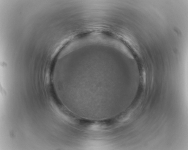 X0000091180504200708091224