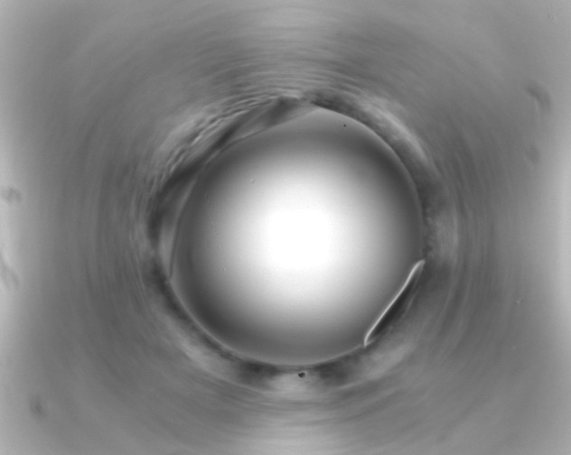 X0000091180505200708091224