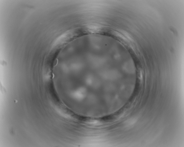 X0000091180507200708091224