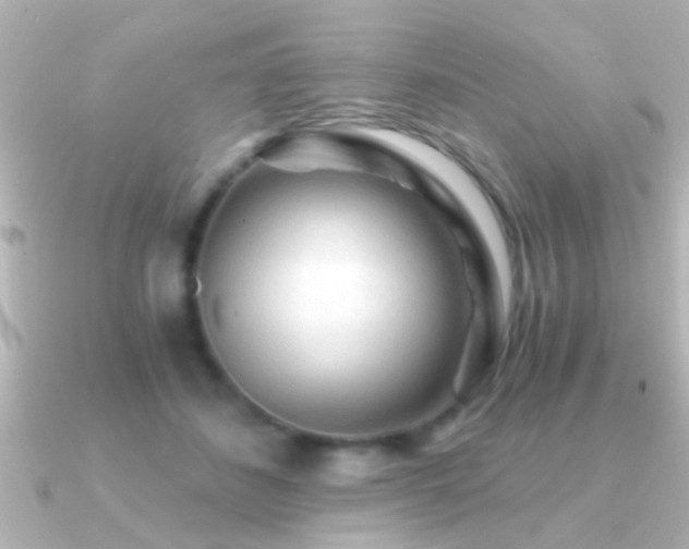 X0000091180508200708091224
