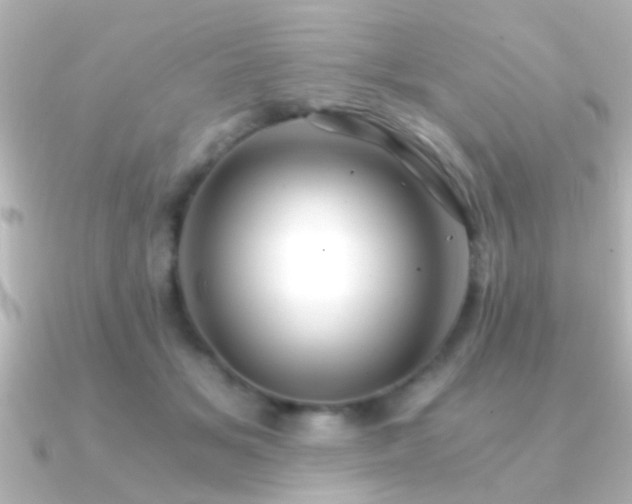 X0000091180509200708091224