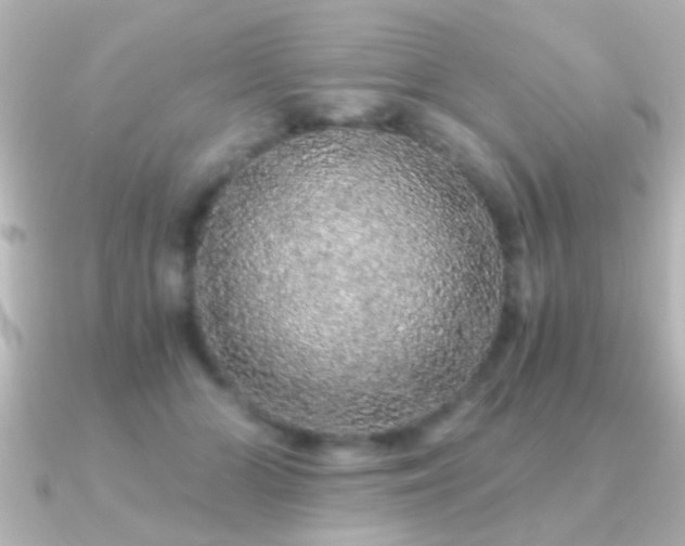 X0000091180510200708091224