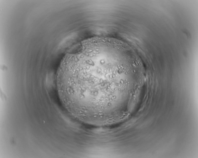 X0000091180511200708091224
