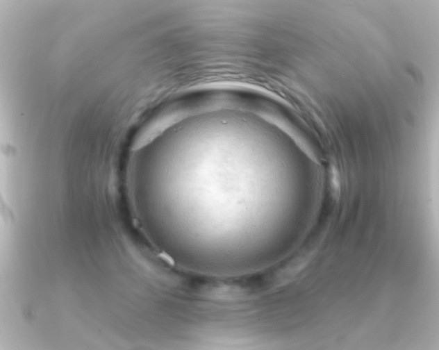 X0000091180512200708091224
