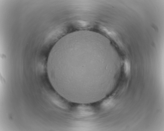 X0000091180515200708091224