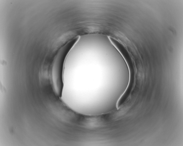 X0000091180516200708091224