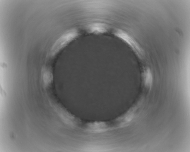 X0000091180517200708091224