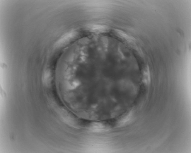 X0000091180519200708091224