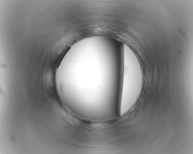 X0000091180520200708091224