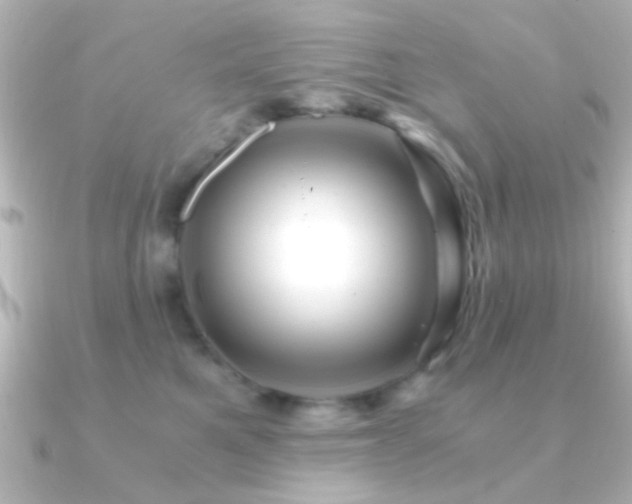 X0000091180521200708091224