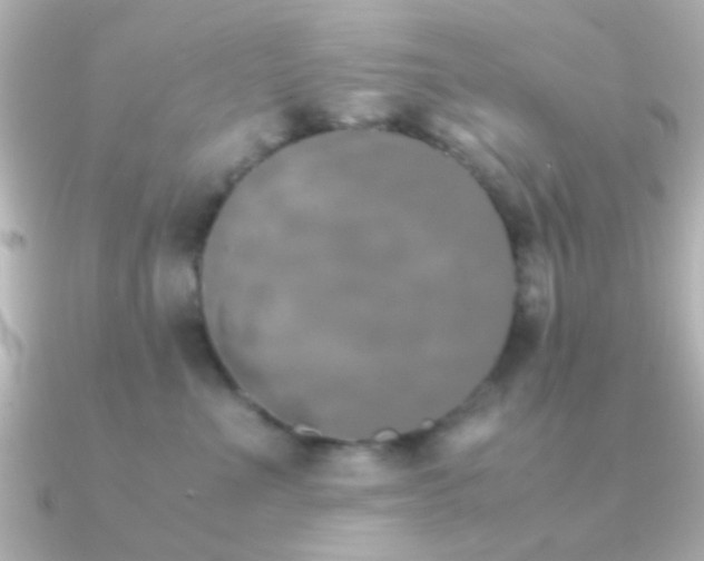 X0000091180523200708091224