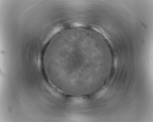 X0000091180524200708091224