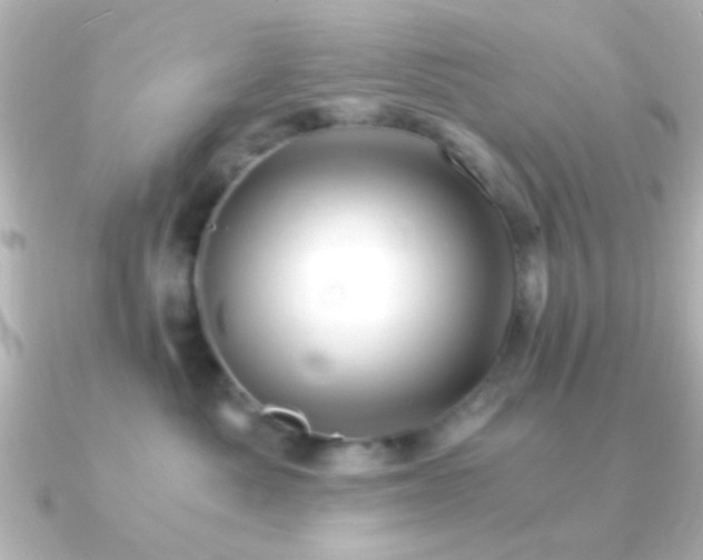 X0000091180525200708091224