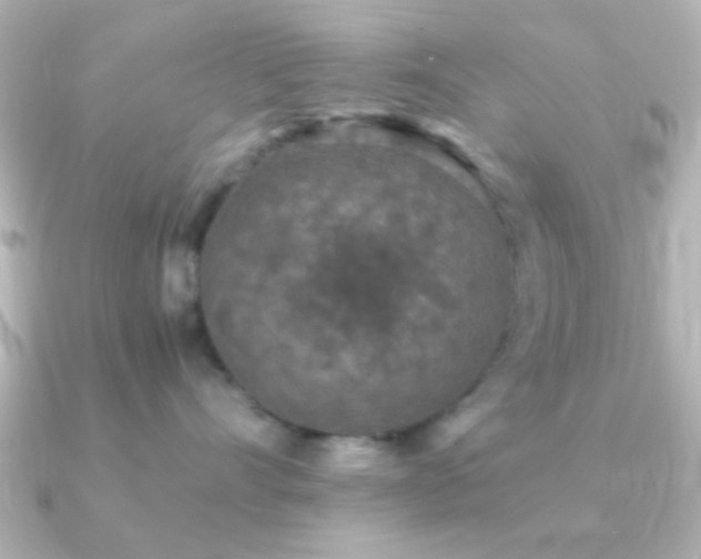 X0000091180528200708091224