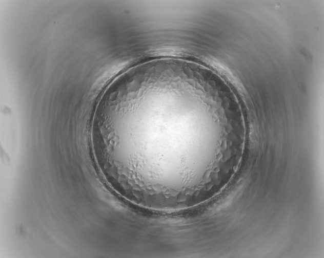 X0000091180529200708091224