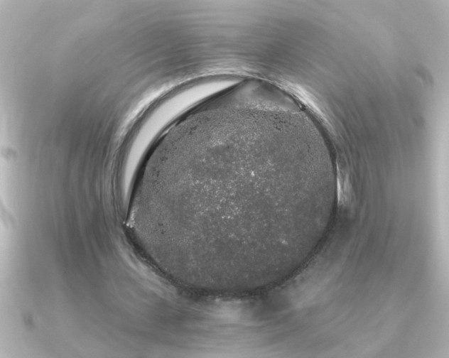 X0000091180531200708091224