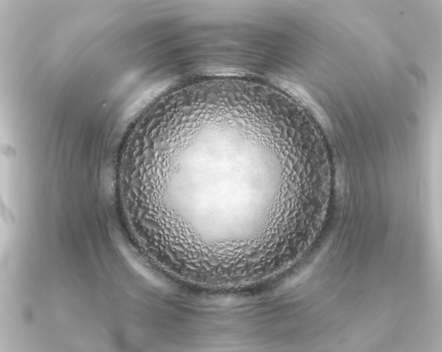 X0000091180533200708091224