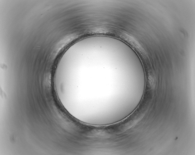 X0000091180534200708091224