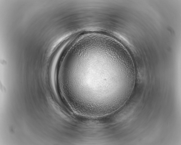 X0000091180535200708091224
