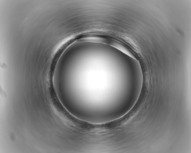 X0000091180536200708091224