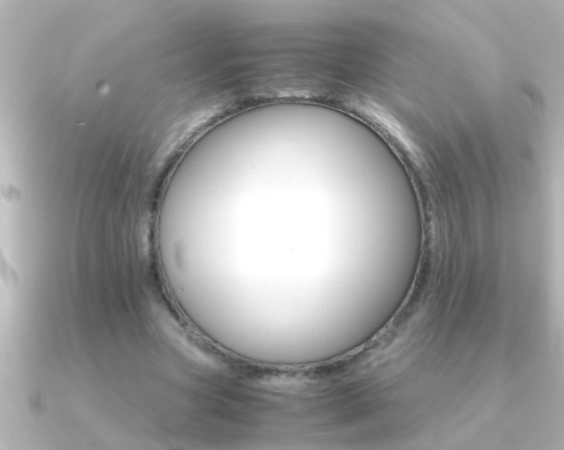 X0000091180537200708091224